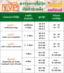 ตารางสูตรปุ๋ยใส่มันสำปะหลัง