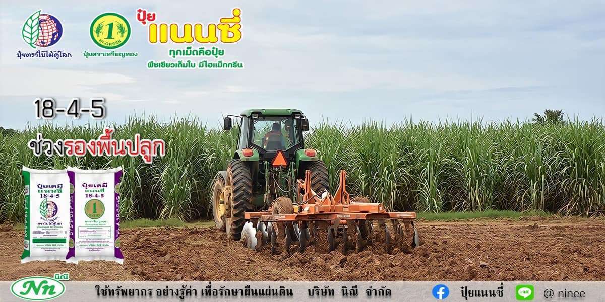 ปุ๋ยสูตร 18-4-5 รองพื้น เร่งต้น