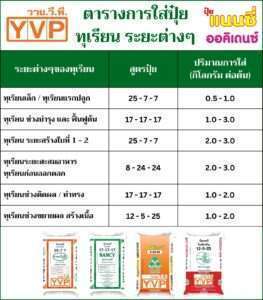 ตารางการใส่ปุ๋ยทุเรียนเล็กใหญ่ระยะต่างๆ