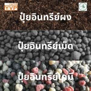 ปุ๋ยอินทรีย์