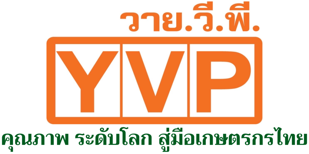 YVP GROUP