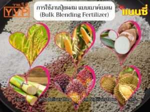 การใช้งานปุ๋ยผสม แบบเบาค์เบลน