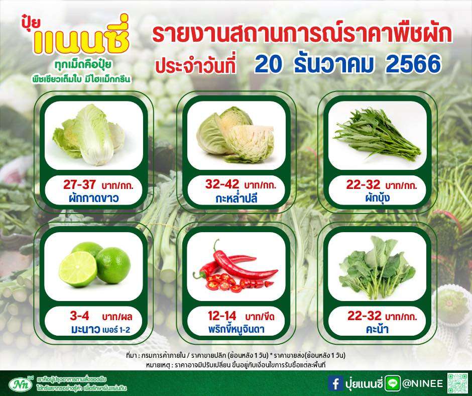 ราคาพืชผักวันนี้ 20-12-66