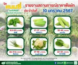 ราคาพืชผักวันนี้ 10 มกราคม 2567