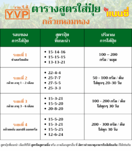 ปุ๋ยกล้วย